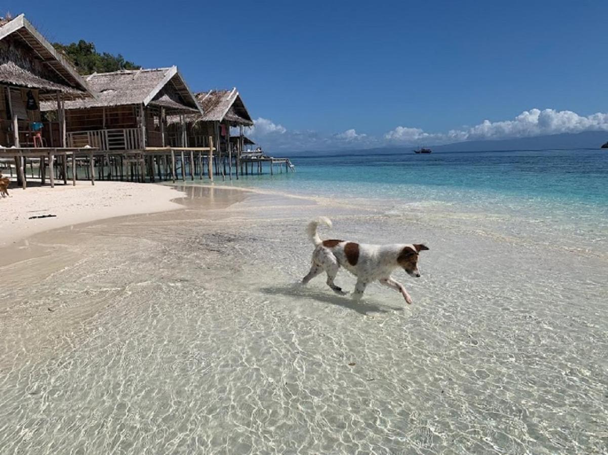 Nus Homestay Raja Ampat Kri Exteriér fotografie